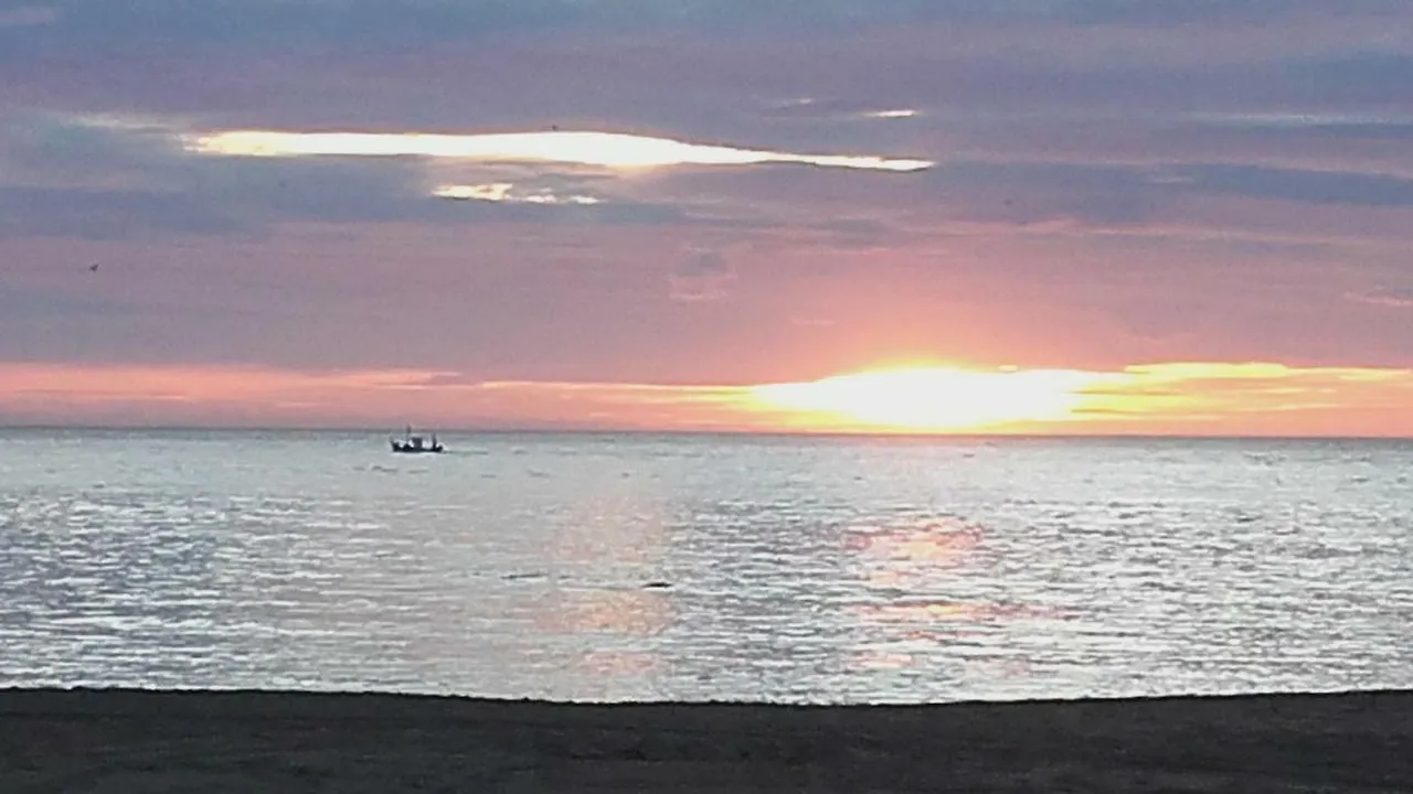 Hnos Navarrete Fuengirola Spain